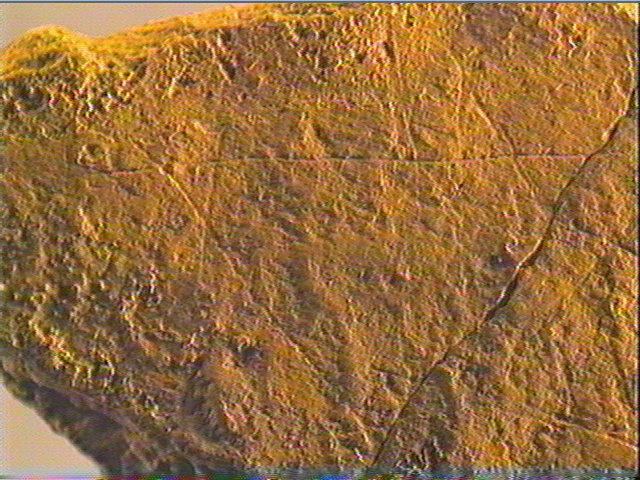 Plaquette (fragment)_4