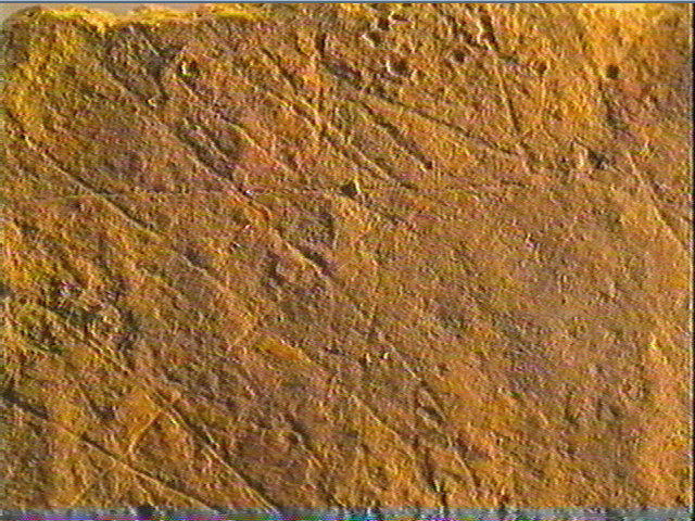 Plaquette (fragment)_6