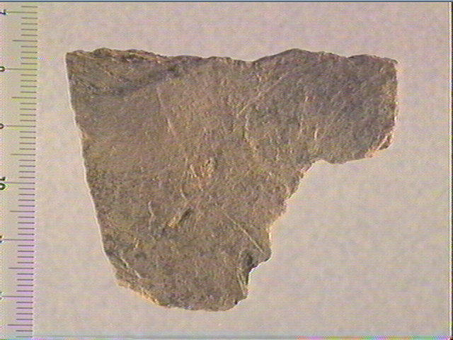 Plaquette (fragment)_0