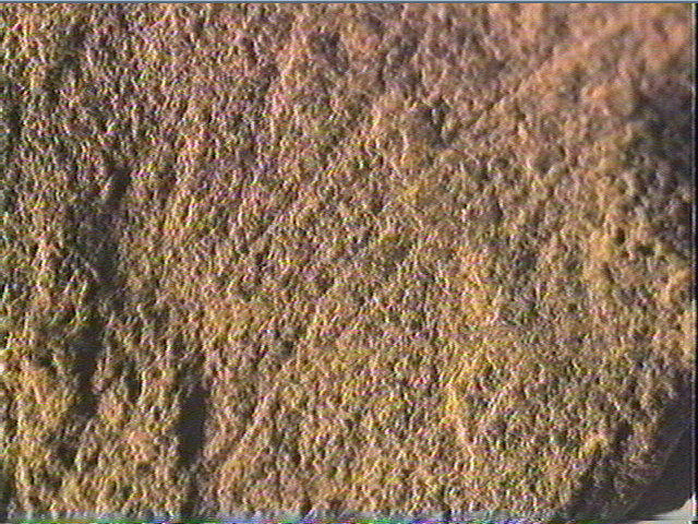 Plaquette (fragment)_3