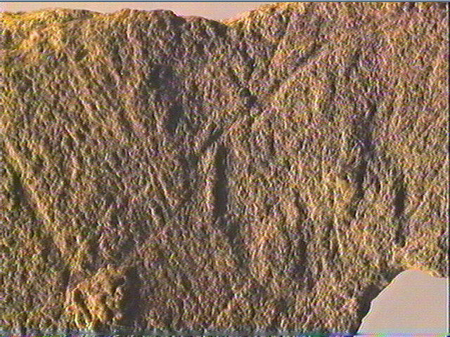 Plaquette (fragment)_4