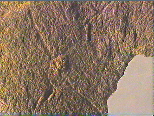Plaquette (fragment)_5