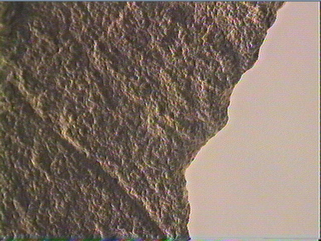 Plaquette (fragment)_6