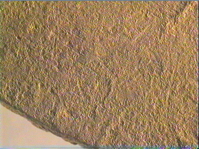 Plaquette (fragment)_5