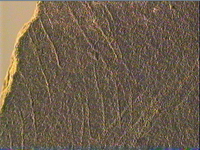 Plaquette (fragment)_4