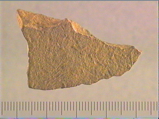 Plaquette (fragment)_0