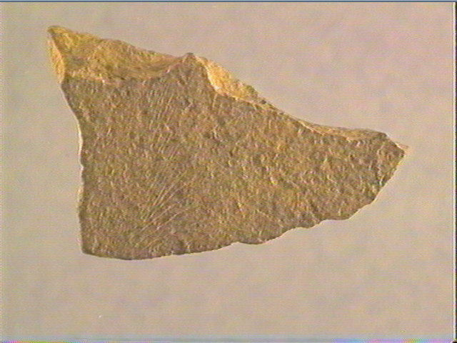 Plaquette (fragment)_1