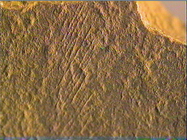 Plaquette (fragment)_5