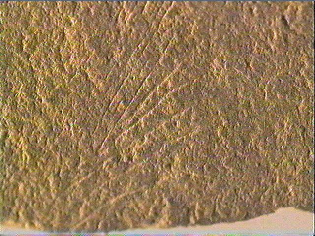 Plaquette (fragment)_6