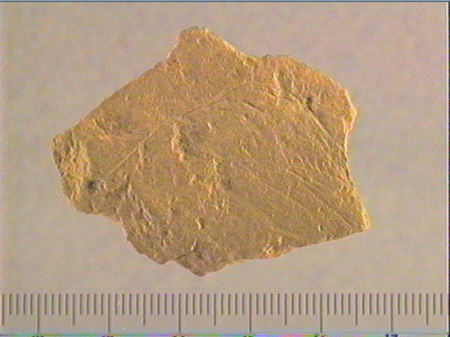 Plaquette (fragment)_0