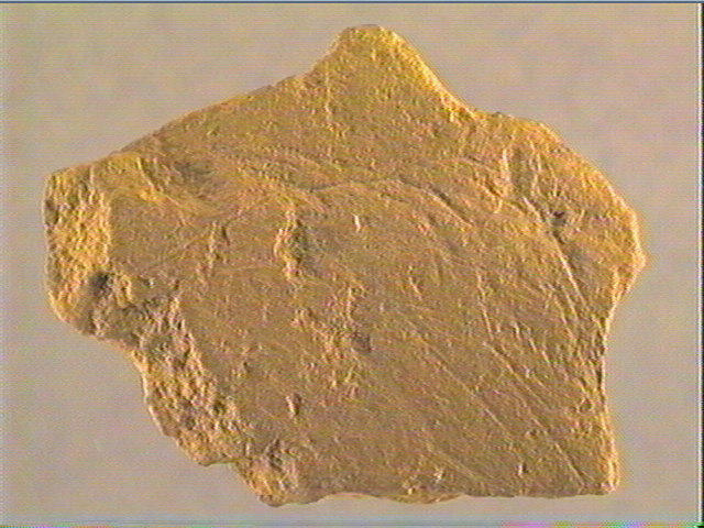 Plaquette (fragment)_2