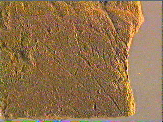 Plaquette (fragment)_3