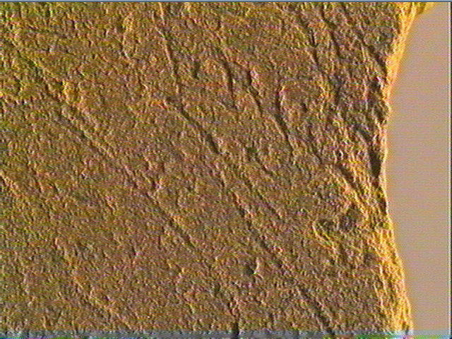 Plaquette (fragment)_4