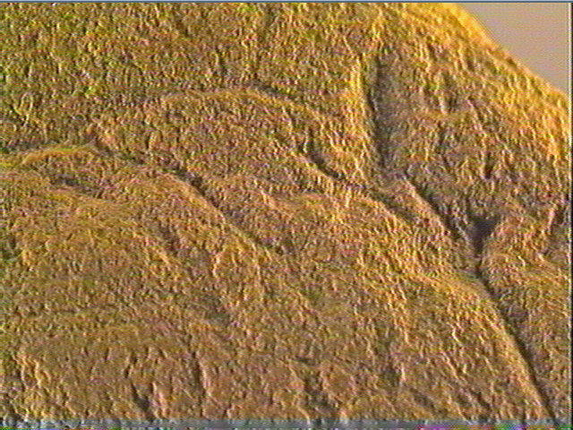 Plaquette (fragment)_6