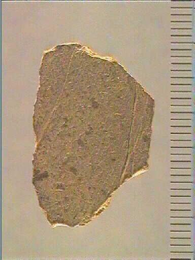 Plaquette (fragment)_0