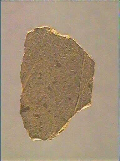 Plaquette (fragment)_1