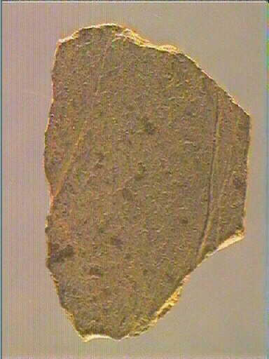Plaquette (fragment)_3