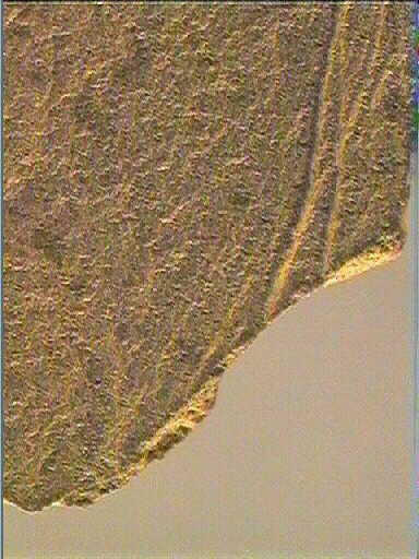 Plaquette (fragment)_5
