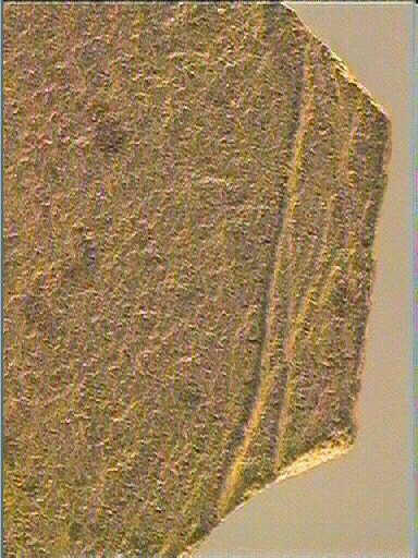 Plaquette (fragment)_6