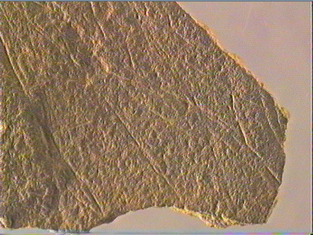 Plaquette (fragment)_5