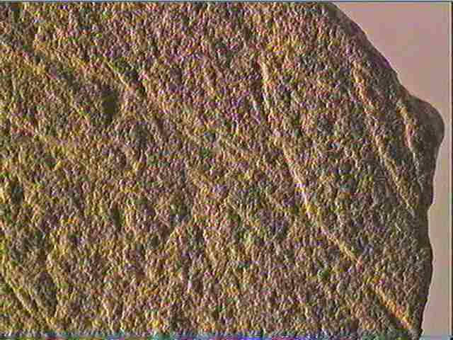 Plaquette (fragment)_6