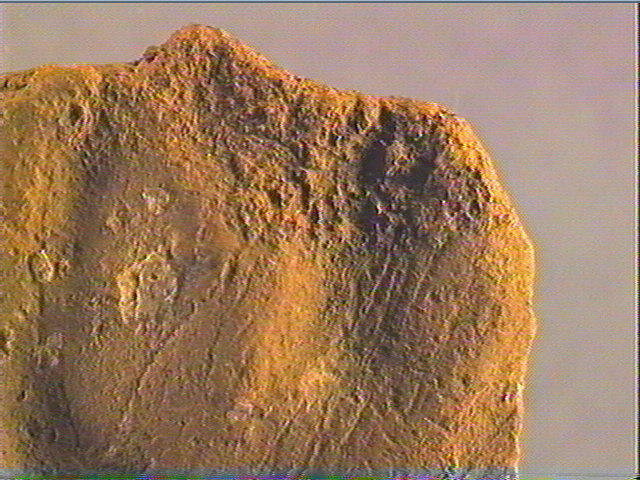 Plaquette (fragment)_5