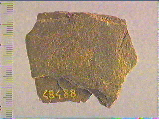 Plaquette (fragment)_0
