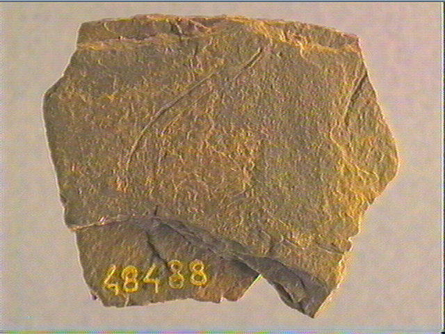 Plaquette (fragment)_2