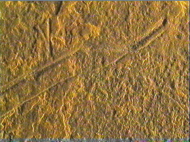 Plaquette (fragment)_4
