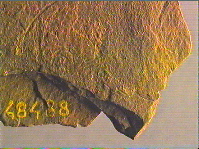 Plaquette (fragment)_5