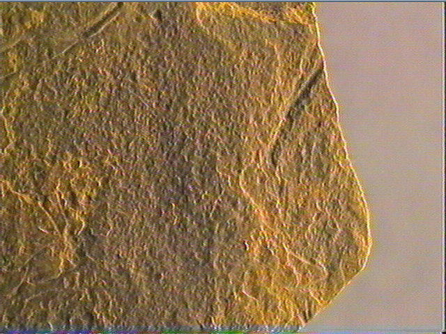 Plaquette (fragment)_6