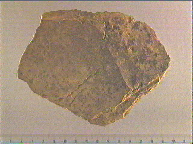 Plaquette (fragment)_0