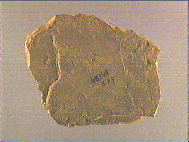 Plaquette (fragment)_1