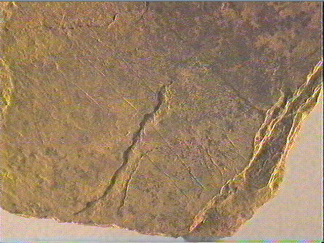 Plaquette (fragment)_2