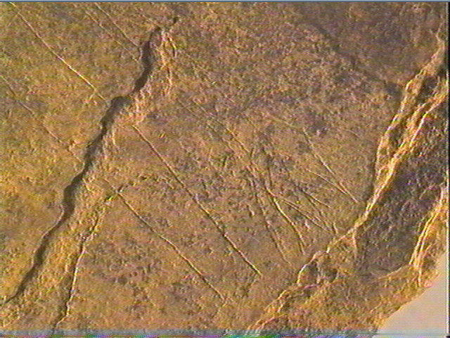 Plaquette (fragment)_3