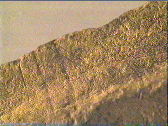 Plaquette (fragment)_6