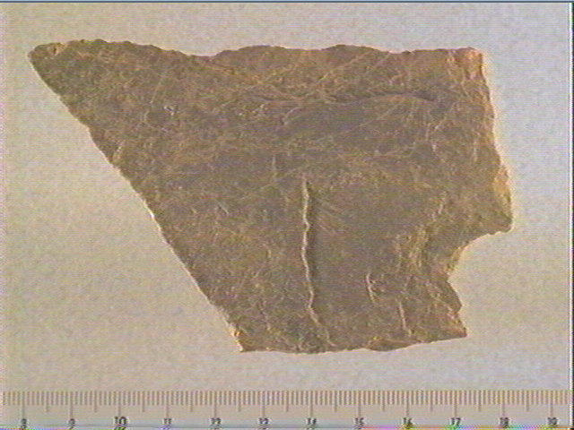 Plaquette (fragment)_0