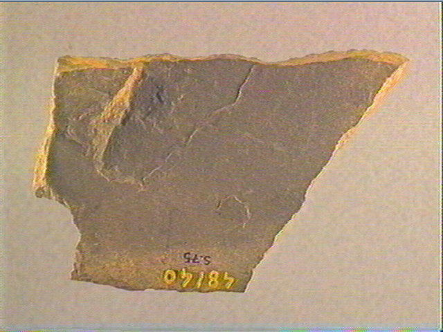 Plaquette (fragment)_1