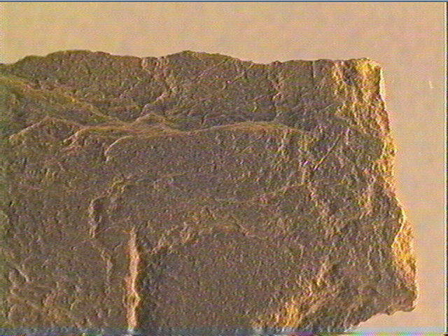 Plaquette (fragment)_3