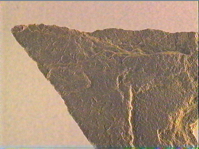 Plaquette (fragment)_5