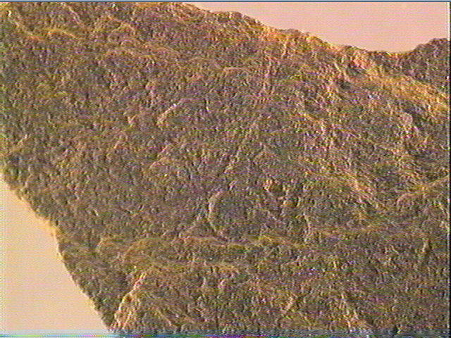Plaquette (fragment)_6