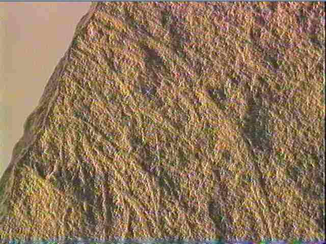 Plaquette (fragment)_3