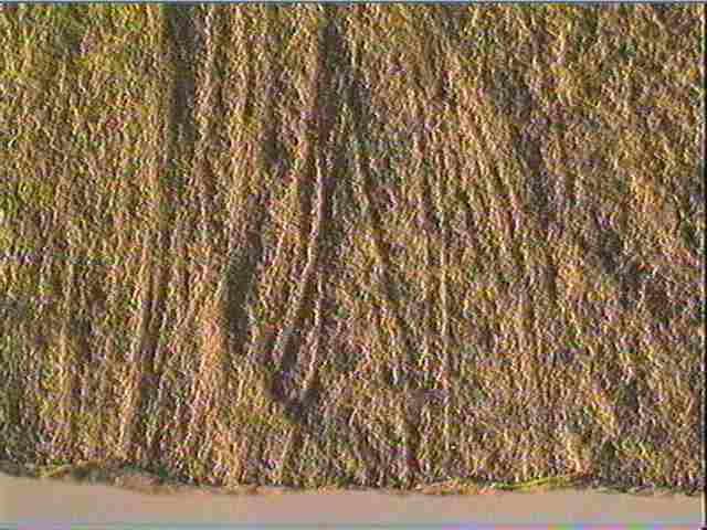 Plaquette (fragment)_5