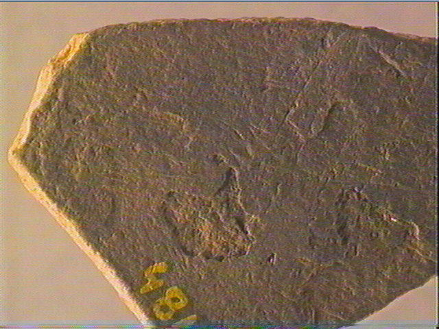 Plaquette (fragment)_6