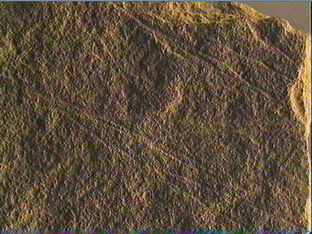 Plaquette (fragment)_4