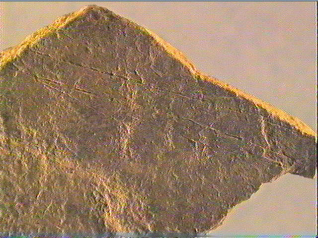 Plaquette (fragment)_4