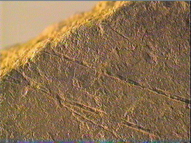 Plaquette (fragment)_5