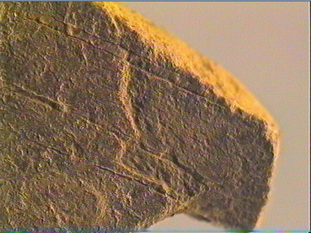 Plaquette (fragment)_6