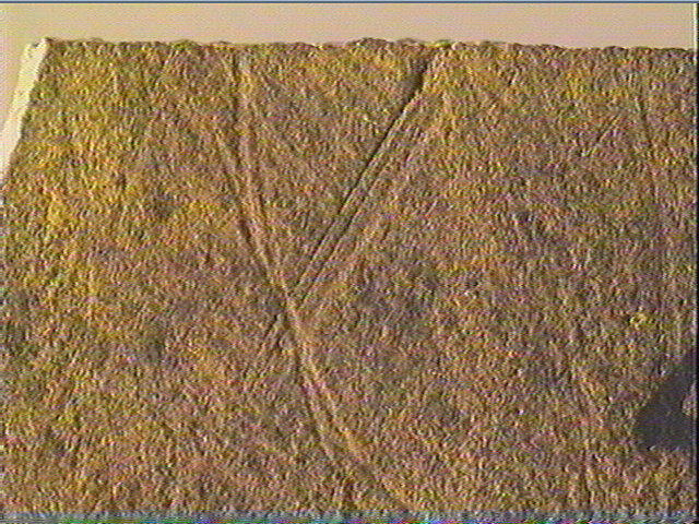 Plaquette (fragment)_3