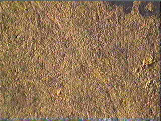 Plaquette (fragment)_5